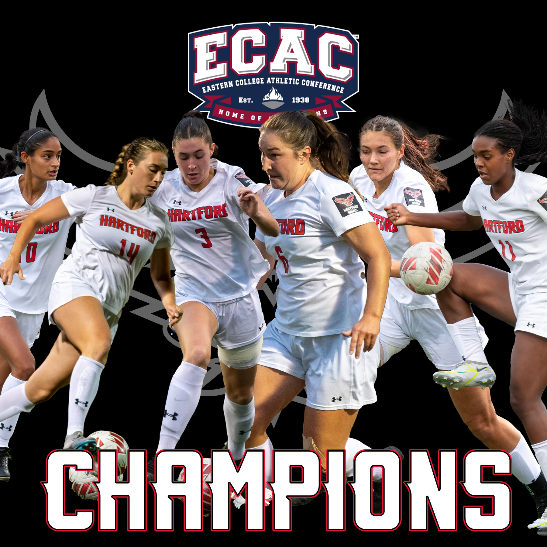ECAC champions image