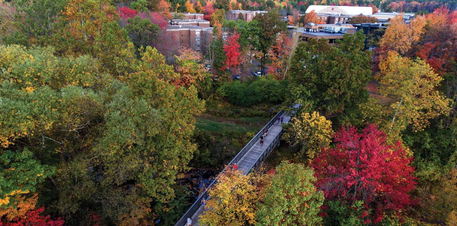 trees on campus