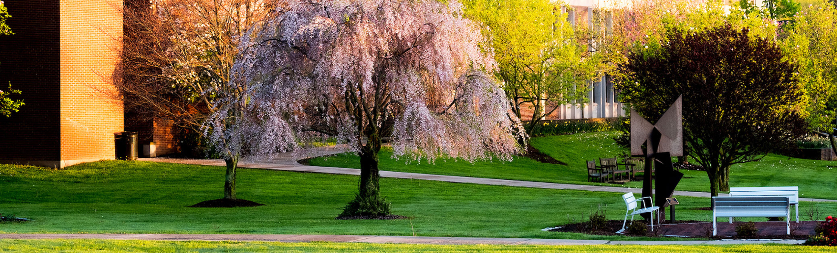 Admissions University of Hartford