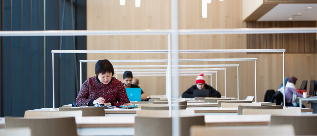 Student studying in library