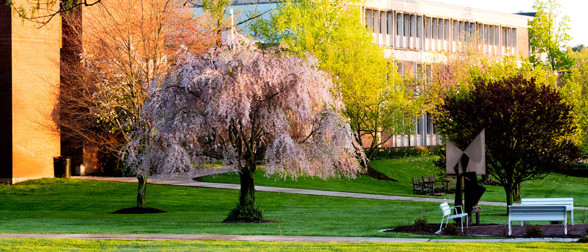 Remote Work Policy University Of Hartford