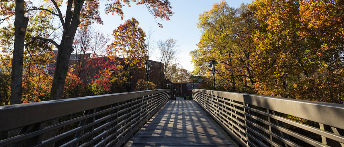 Campus beauty
