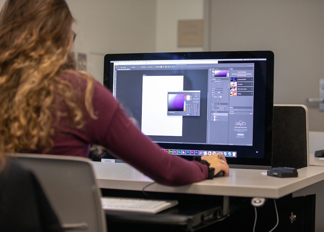 Image is of woman working on a computer. You see the screen and her back is to the camera.