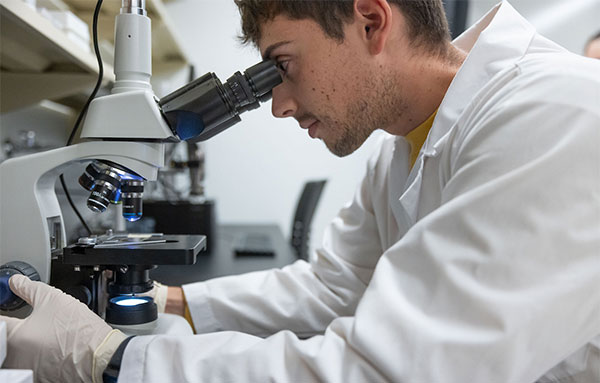 Student looking into a microscope in UHart's research in a lab.