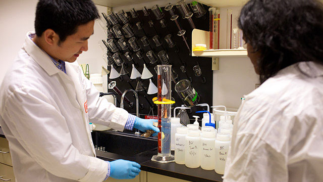 Neuroscience Lab
