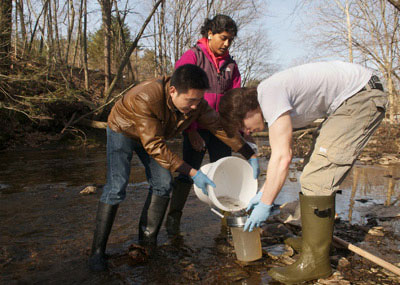 Professor and students working in river.