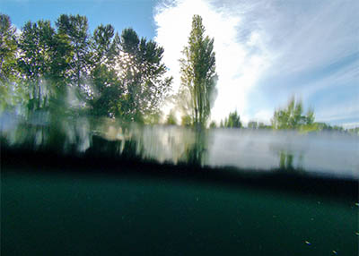 Ethan David Bickel-Open Water Photo