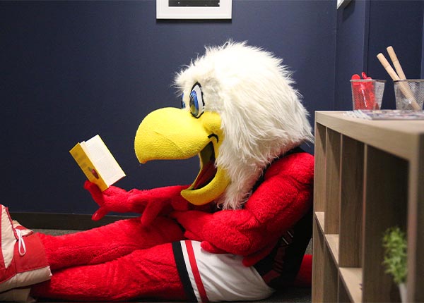 Howie the Hawk sitting on the floor reading