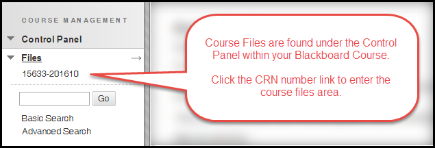 Course Files are found under the Control Panel within your Blackboard Course. Click the CRN number link to enter the course files area.