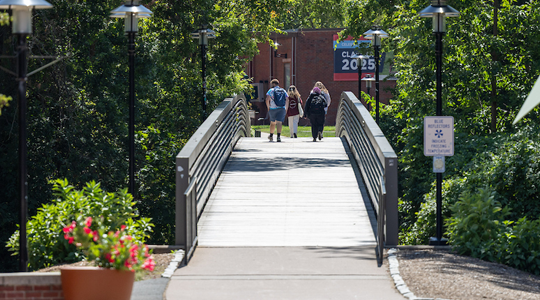 site://Giving Site/_images/naming-opps-images/naming-opps-bridge-small.png