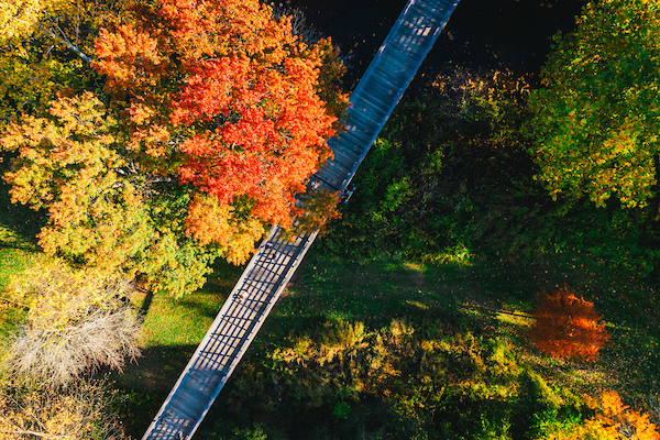 site://UHart Main Site/news/_images/bridge-social.jpg