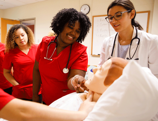 Nursing students taking a mannequin's pulse