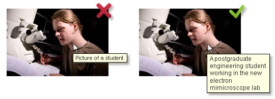 Alt-text postgraduate student example