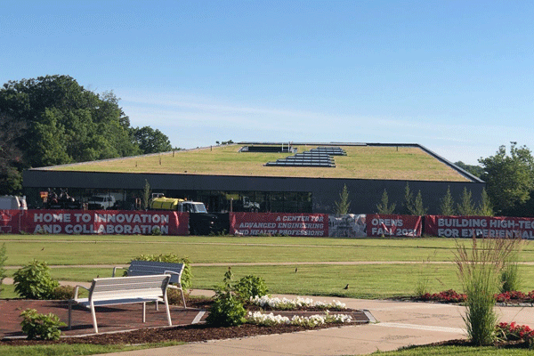 Photo of the green roof on the new building